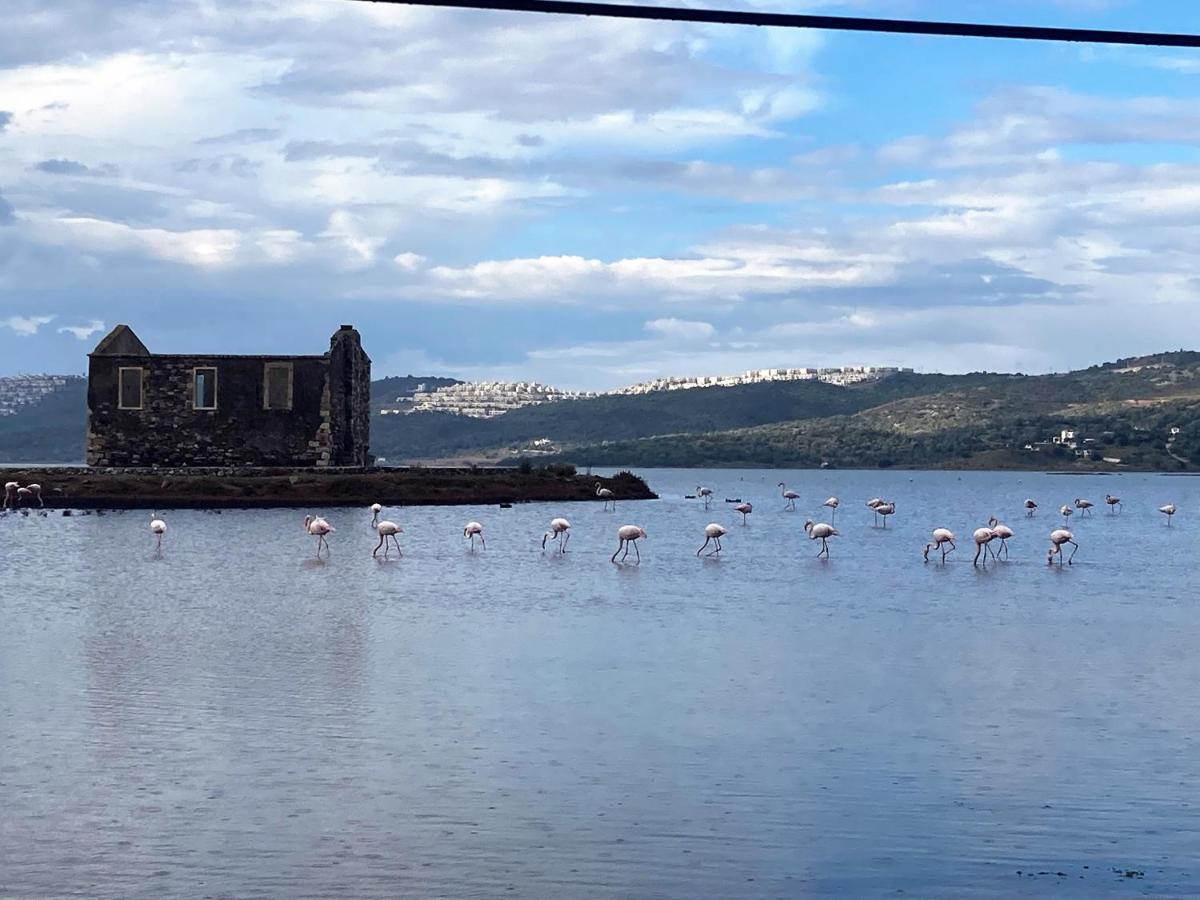 Bodrum Sea View Villa With Access To Private Beach Bogazici Esterno foto